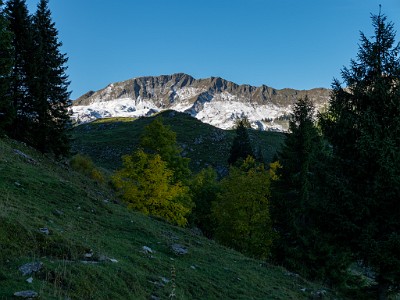 DCLDLUX8-20251007-1001631