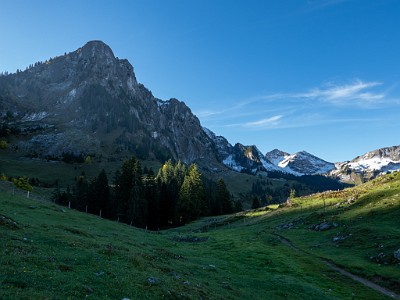 DCLDLUX8-20251007-1001632