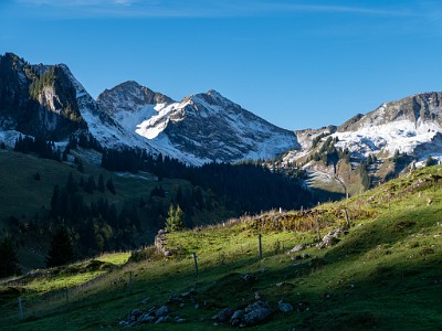 DCLDLUX8-20251007-1001633