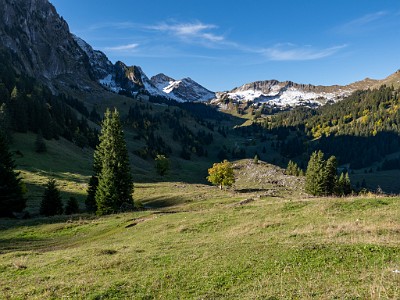 DCLDLUX8-20251007-1001636