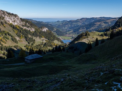 DCLDLUX8-20251007-1001641