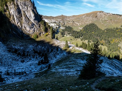 DCLDLUX8-20251007-1001644