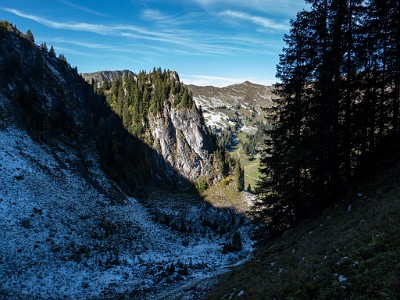 DCLDLUX8-20251007-1001646