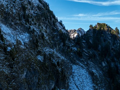 DCLDLUX8-20251007-1001648