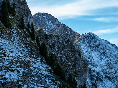 DCLDLUX8-20251007-1001656