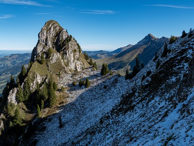 DCLDLUX8-20251007-1001661