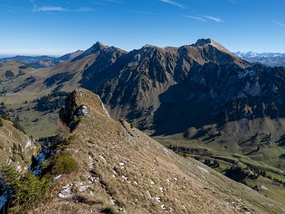 DCLDLUX8-20251007-1001667