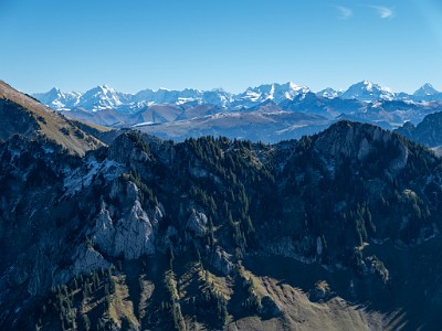 DCLDLUX8-20251007-1001669