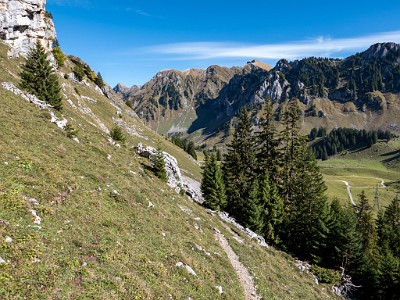 DCLDLUX8-20251007-1001675