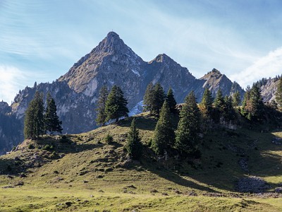 DCLDLUX8-20251007-1001682