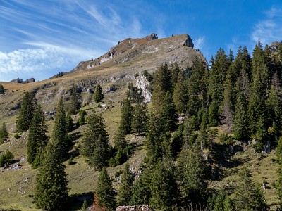 DCLDLUX8-20251007-1001683