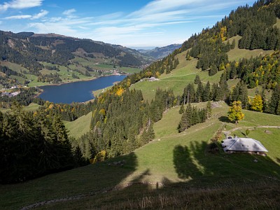 DCLDLUX8-20251007-1001685