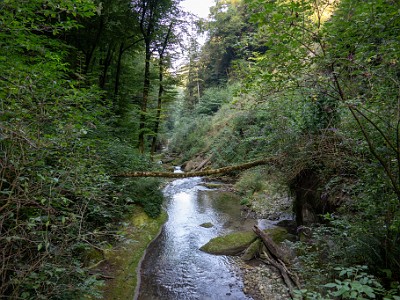 DCCG1X-20250811-1735