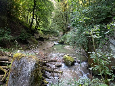 DCCG1X-20250811-1736