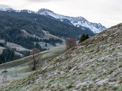 DCLDLUX8-20251221-1002195