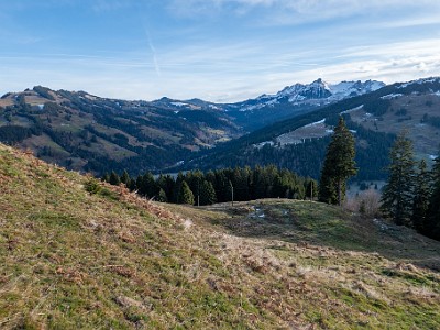 DCLDLUX8-20251221-1002196