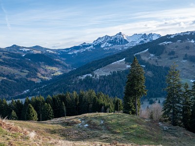 DCLDLUX8-20251221-1002197