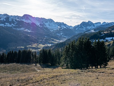 DCLDLUX8-20251221-1002198