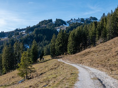 DCLDLUX8-20251221-1002200