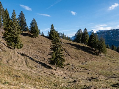 DCLDLUX8-20251221-1002201