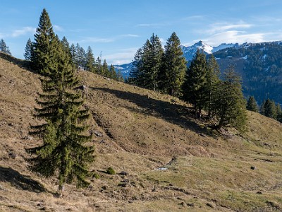 DCLDLUX8-20251221-1002202