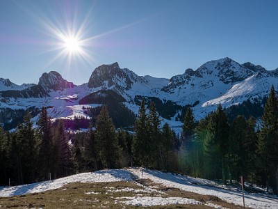 DCLDLUX8-20251227-1002211