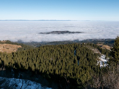 DCLDLUX8-20251227-1002213