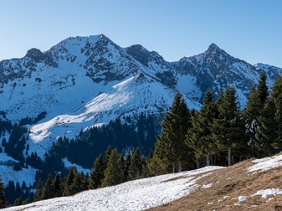 DCLDLUX8-20251227-1002216