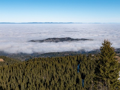 DCLDLUX8-20251227-1002222