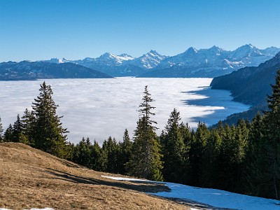 DCLDLUX8-20251227-1002226