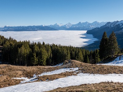 DCLDLUX8-20251227-1002227