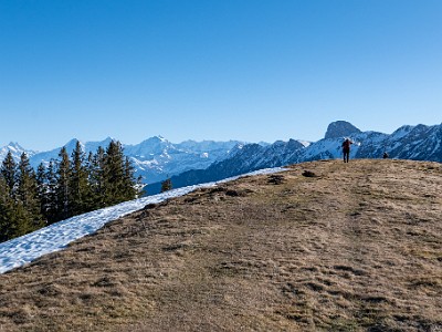 DCLDLUX8-20251227-1002229