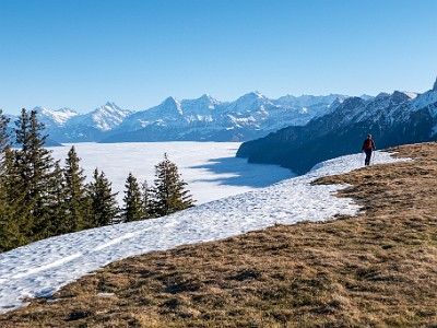 DCLDLUX8-20251227-1002230