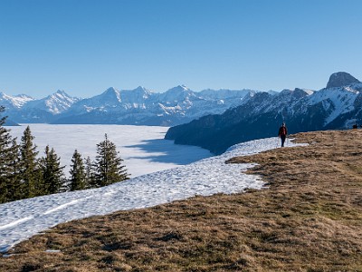 DCLDLUX8-20251227-1002231