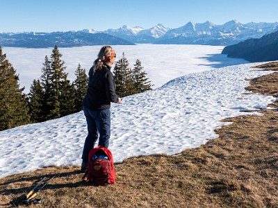 DCLDLUX8-20251227-1002234