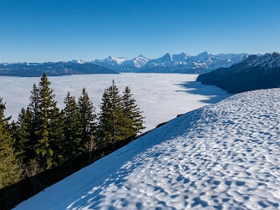 DCLDLUX8-20251227-1002238