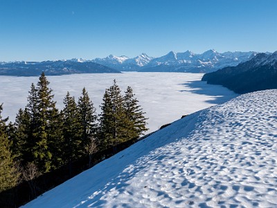 DCLDLUX8-20251227-1002239