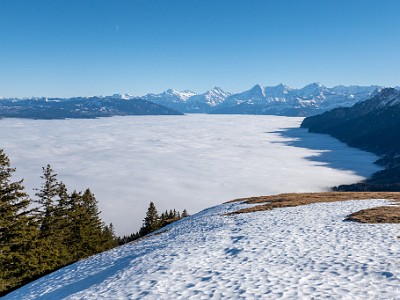 DCLDLUX8-20251227-1002240