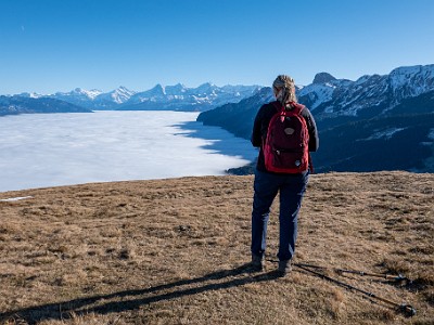 DCLDLUX8-20251227-1002242