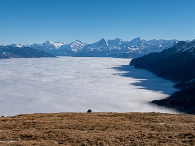 DCLDLUX8-20251227-1002243