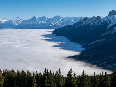 DCLDLUX8-20251227-1002245