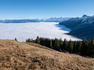 DCLDLUX8-20251227-1002246