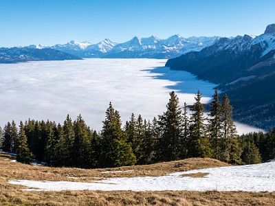 DCLDLUX8-20251227-1002248