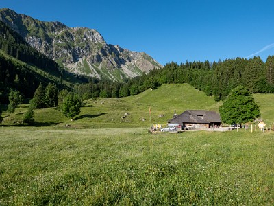 DCLDLUX8-20250622-1000709