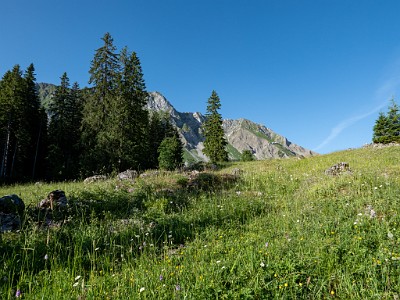 DCLDLUX8-20250622-1000710