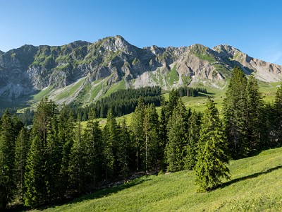 DCLDLUX8-20250622-1000711