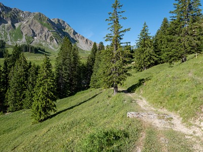 DCLDLUX8-20250622-1000712