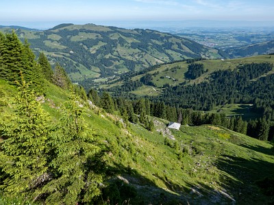 DCLDLUX8-20250622-1000714