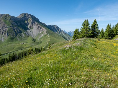 DCLDLUX8-20250622-1000715