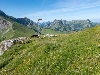 DCLDLUX8-20250622-1000717